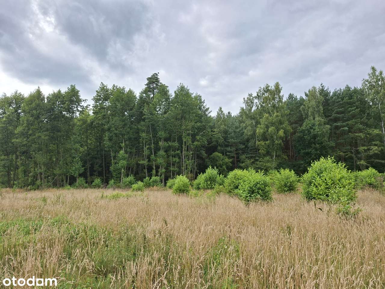 Duża działka budowlana przy lesie, blisko klubów żeglarskich. - Pełny obrazek: 5/9