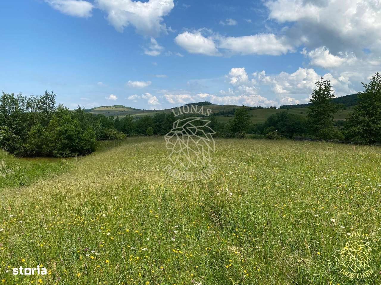 Teren 6500 mp-Lac-vedere panoramica-ideal cabana-Cusma - Imagine principală: 4/8