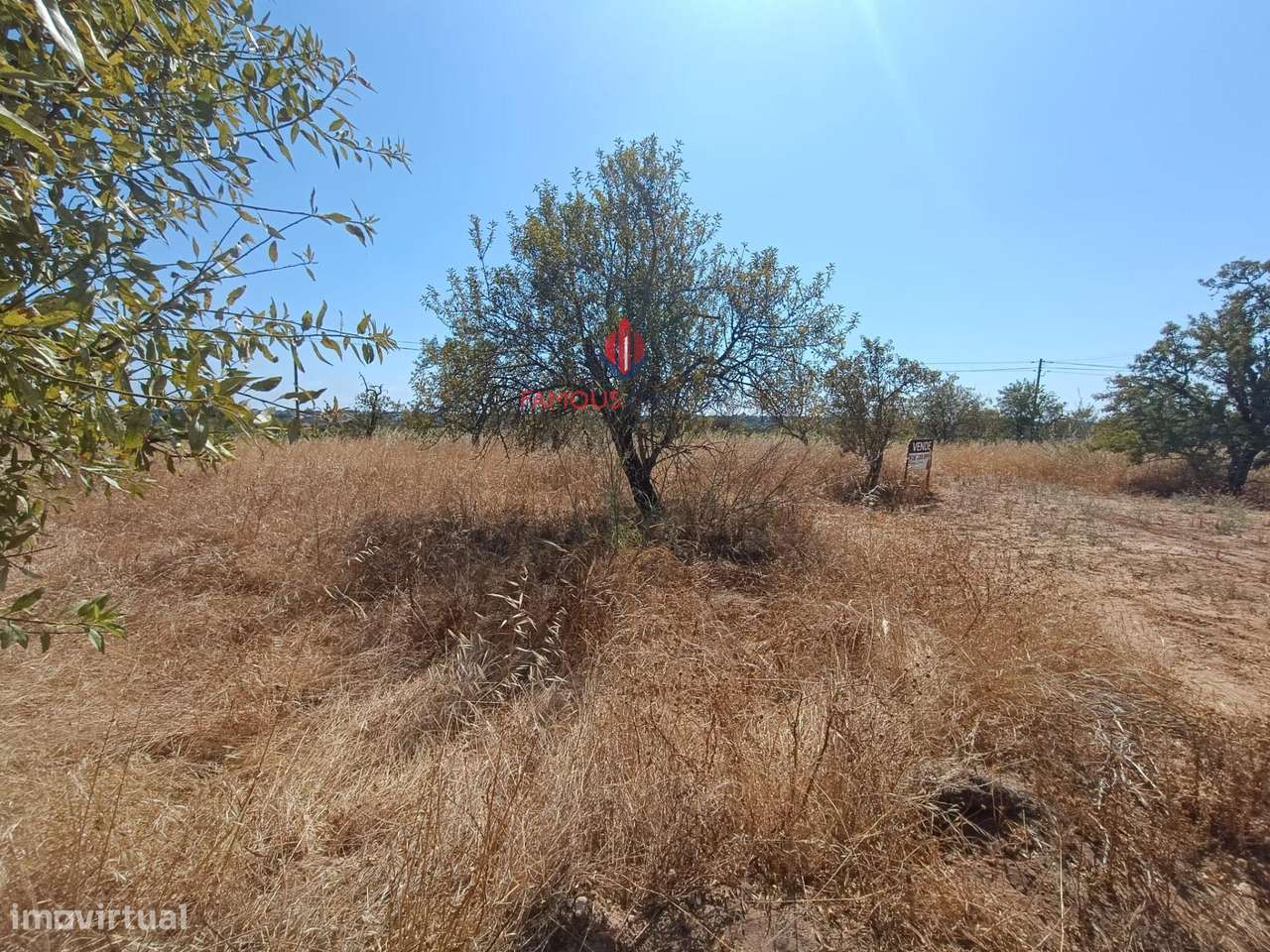Fantástico terreno com 4360m2 numa zona Habitacional dispersa em... - Grande imagem: 3/9