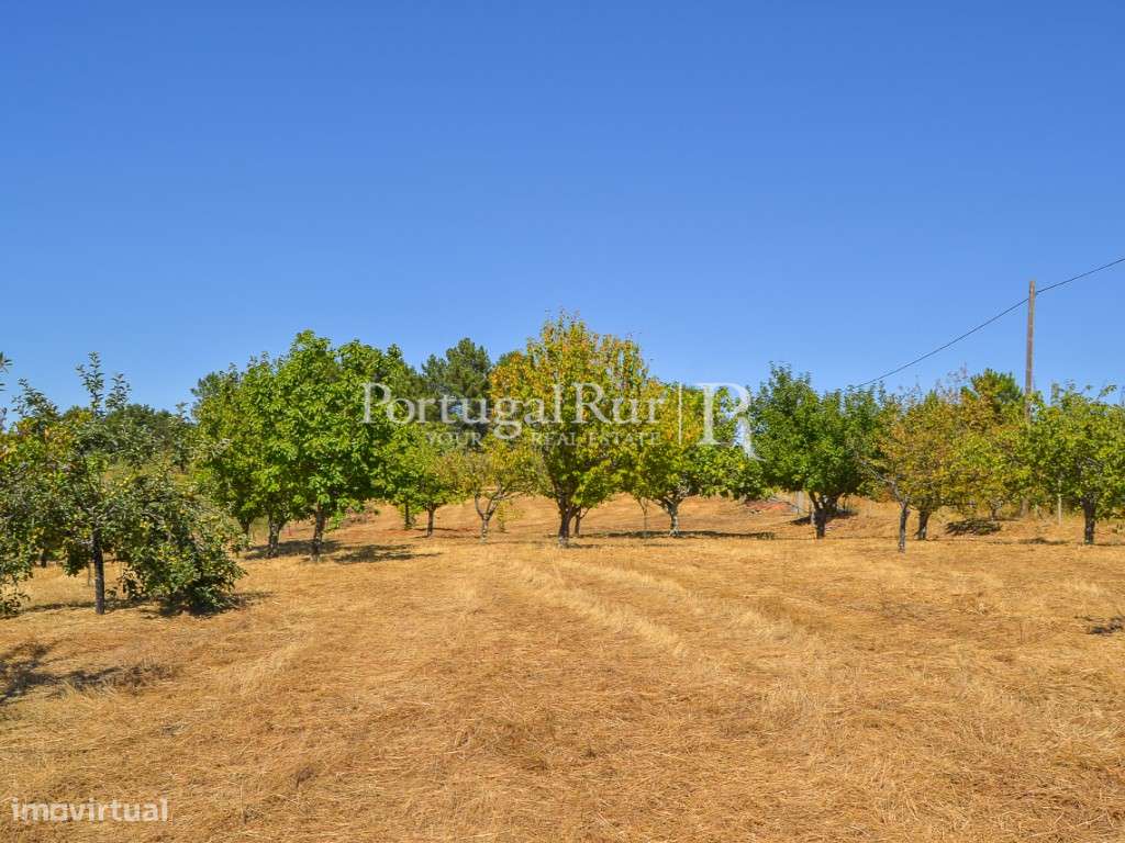 Terreno Rústico para cultivo com anexo - Grande imagem: 3/15