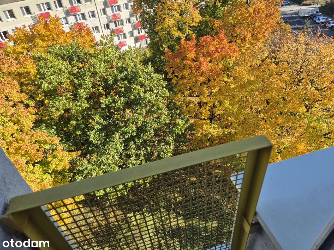 Kawalerka Winogrady os Pod Lipami-6