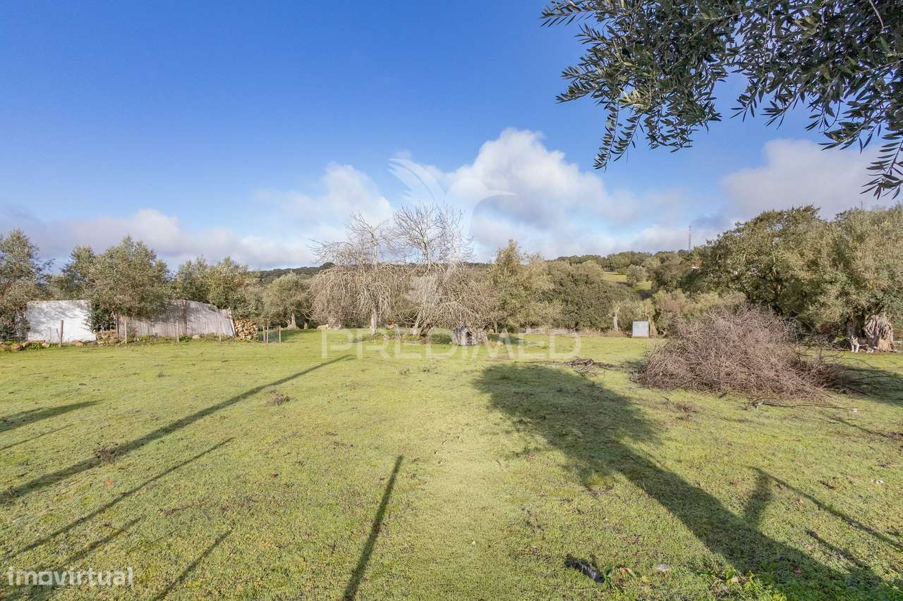 Terreno- Arraiolos, São Pedro da Gafanhoeira - Grande imagem: 4/29