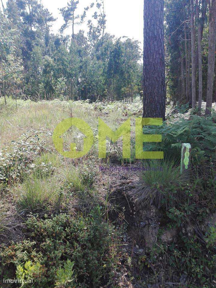 Terreno em zona de construção - Grande imagem: 3/7