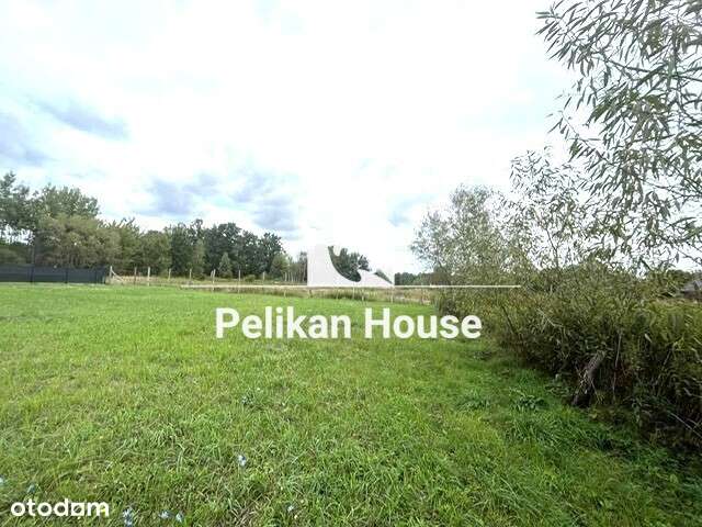 110/14136/OGS - Pełny obrazek: 2/5