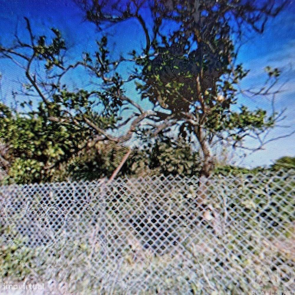 Terreno em Anta E Guetim de 2203075,00 m2 - Grande imagem: 4/7