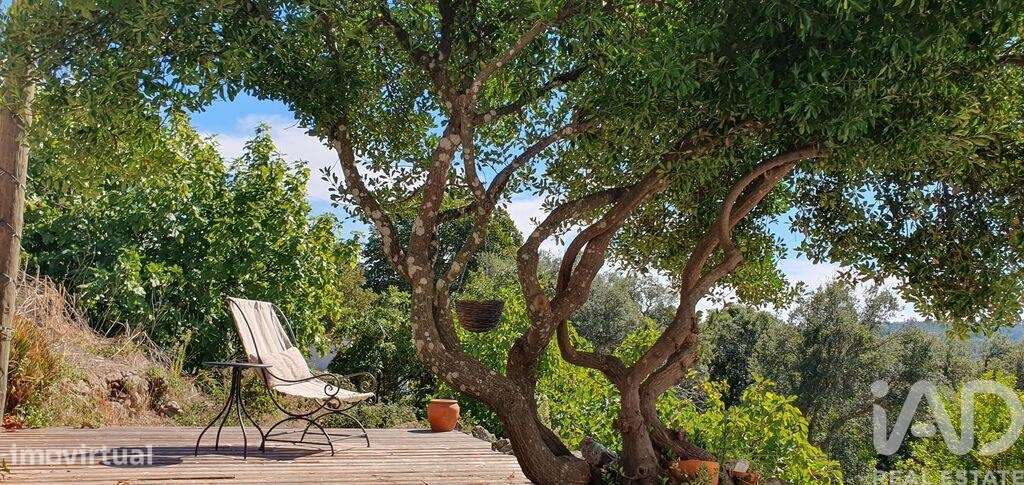 Quinta T3 em Ribeira de Nisa e Carreiras de 107 m2 - Grande imagem: 3/37