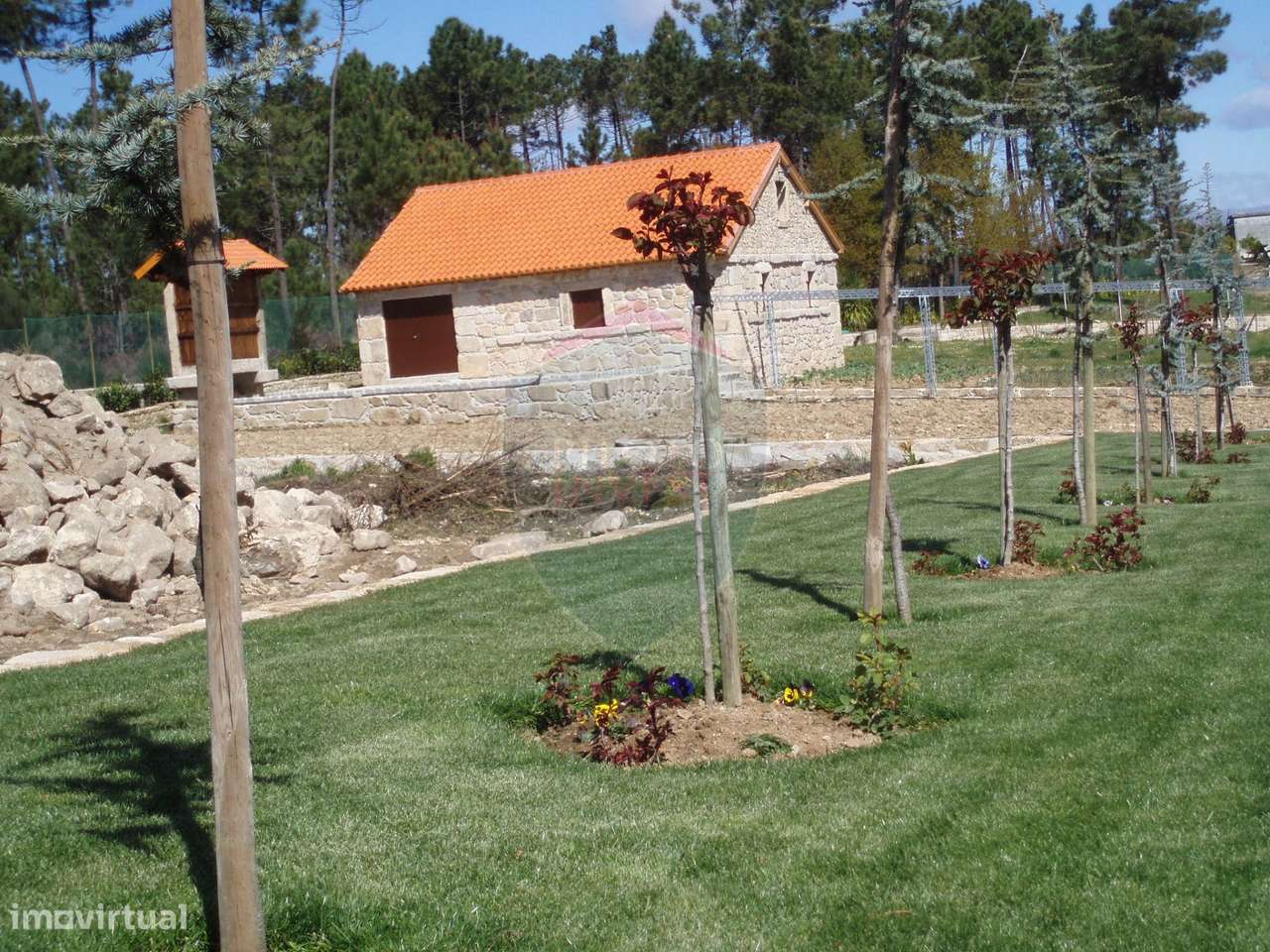 Quinta  Venda em Bodiosa,Viseu - Grande imagem: 2/11