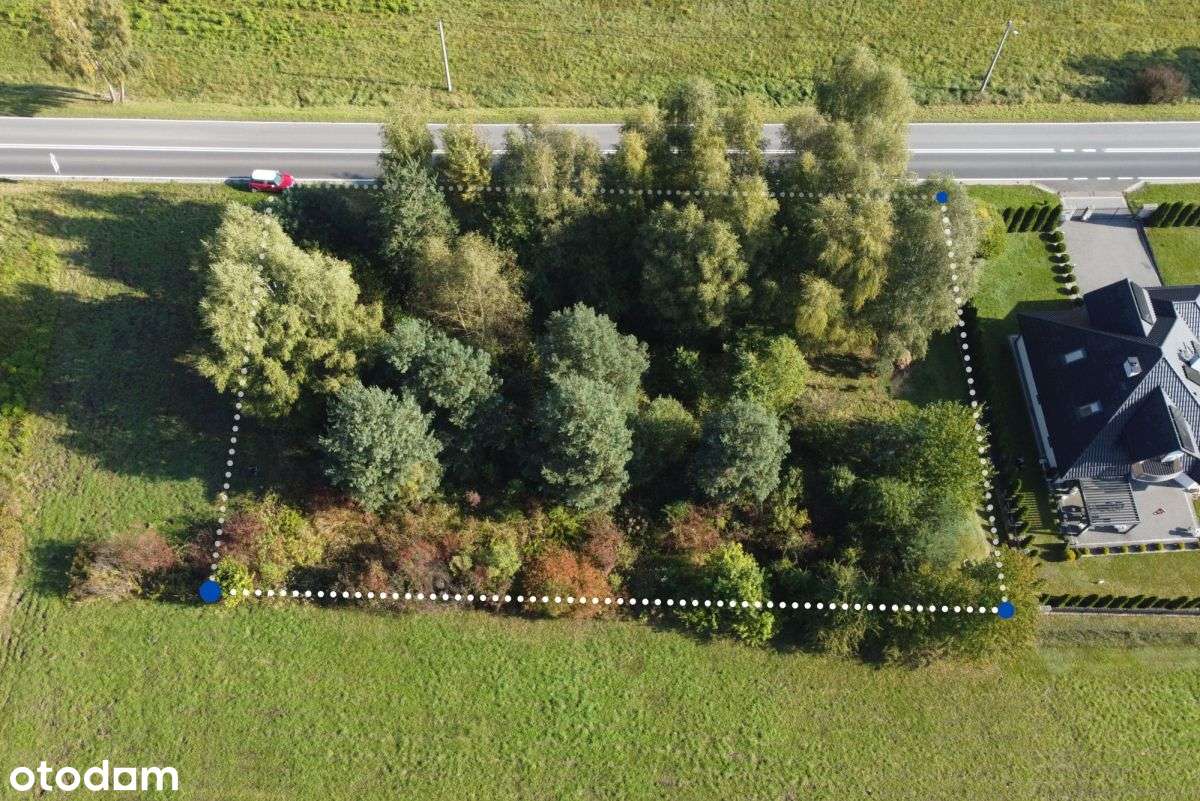 Piękna działka - 35 min od Krakowa koło Krzeszowic - Pełny obrazek: 5/10