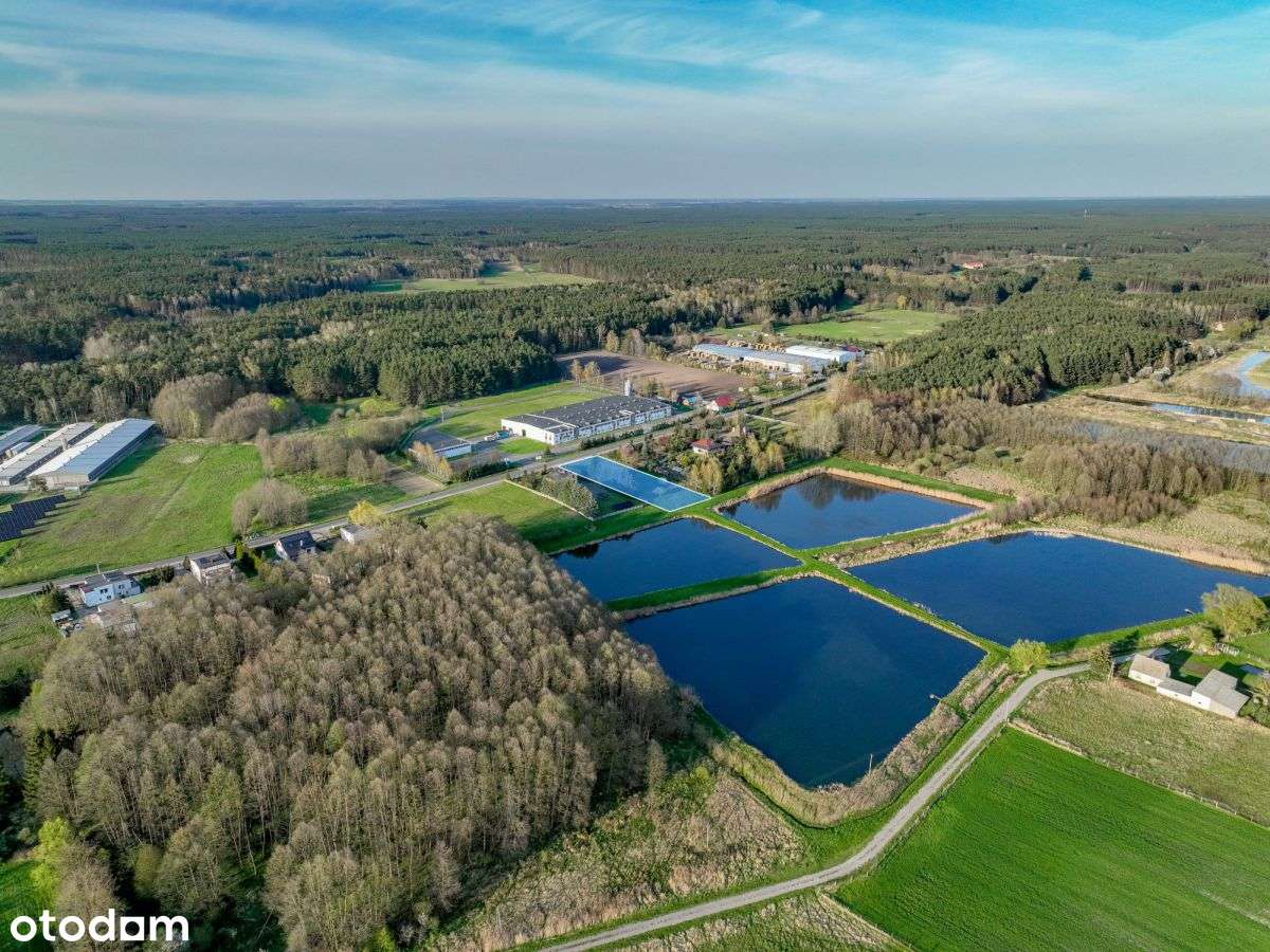 Nietuzinkowa działka w bliskości Puszczy Noteckiej-1