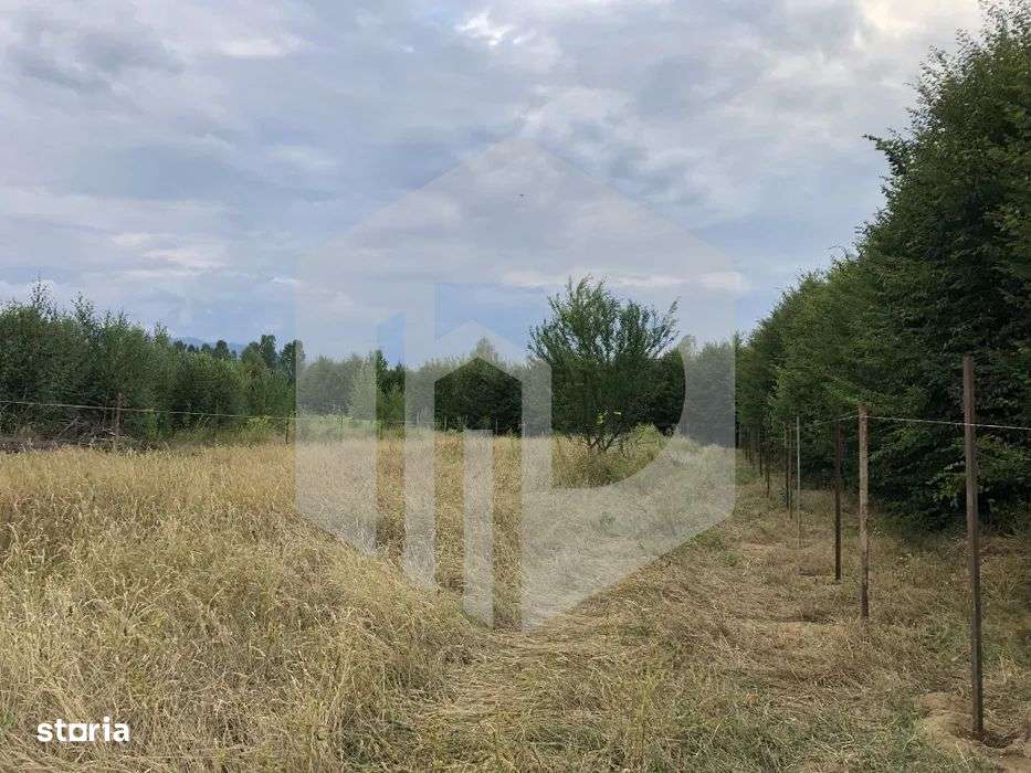 Teren | Intravilan | Valea Avrigului | Autorizatie | 2000mp | Fantana - Imagine principală: 5/7