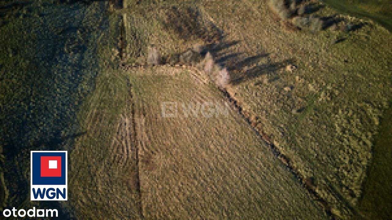 Zbuduj marzenia 400 M od jeziora - Pełny obrazek: 5/20