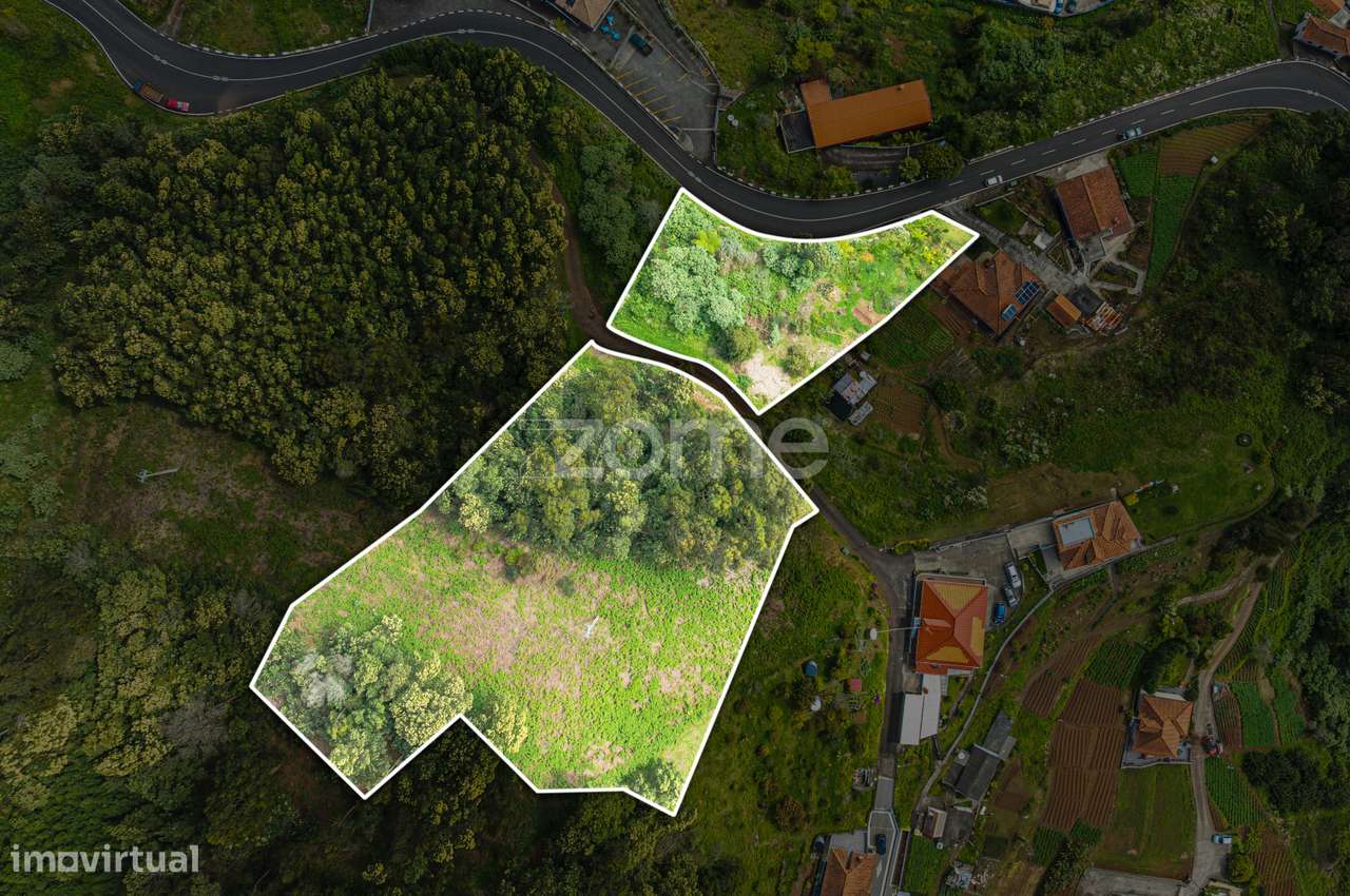Terreno | Santo António da Serra | Machico - Grande imagem: 3/30