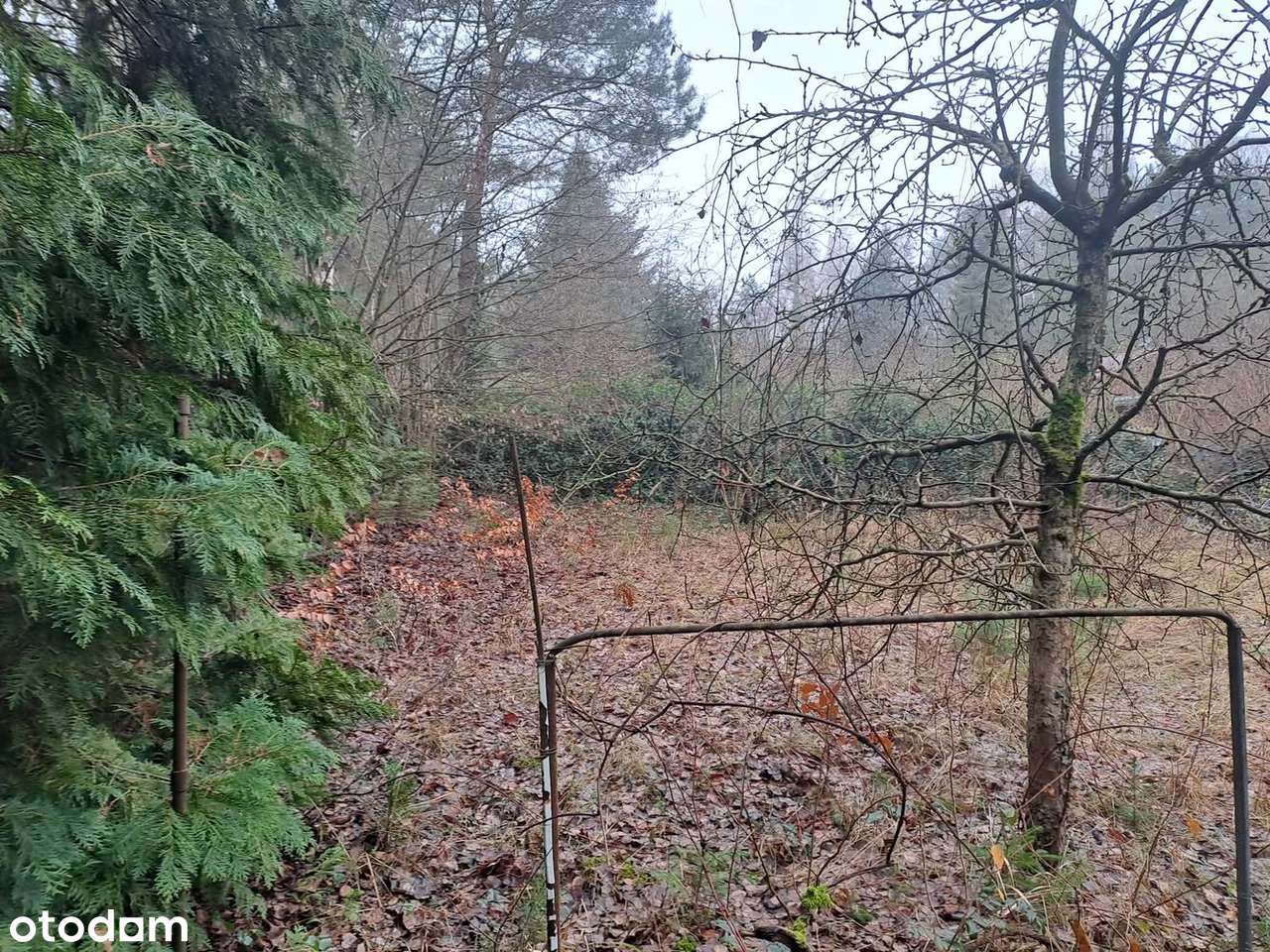 Działka w Zofiówce, idealna na wypoczynek blisko Łodzi - Pełny obrazek: 4/9