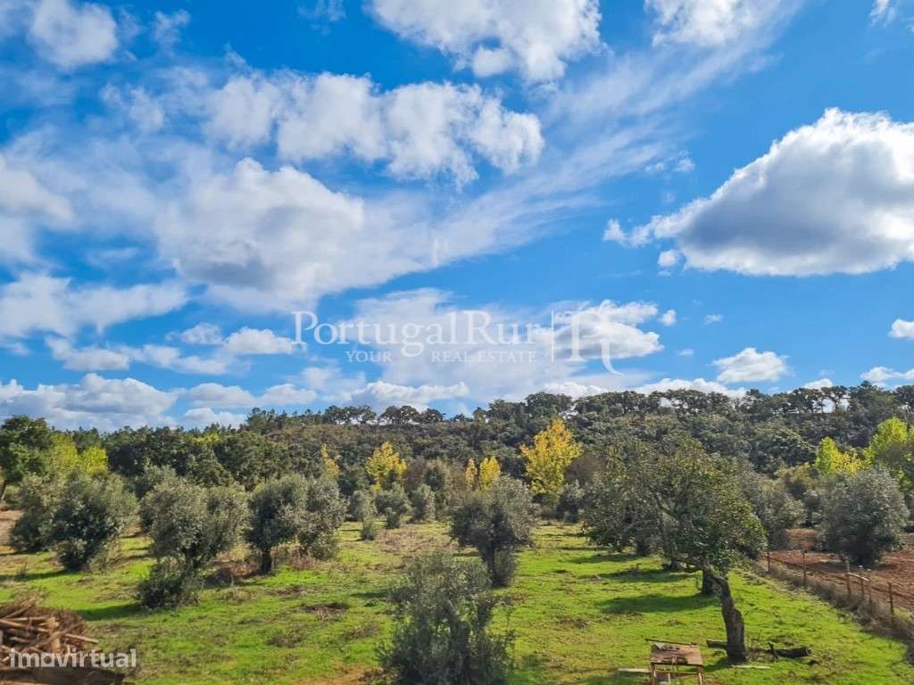 Monte Alentejano T4 com 8.875m2 em Santiago do Cacém - Grande imagem: 4/31