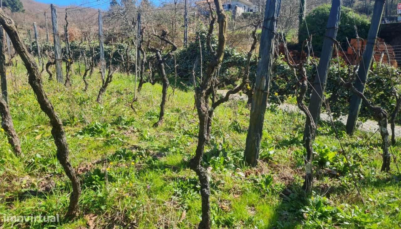 Venda Terreno, Gestaçô, Baião - Grande imagem: 2/20