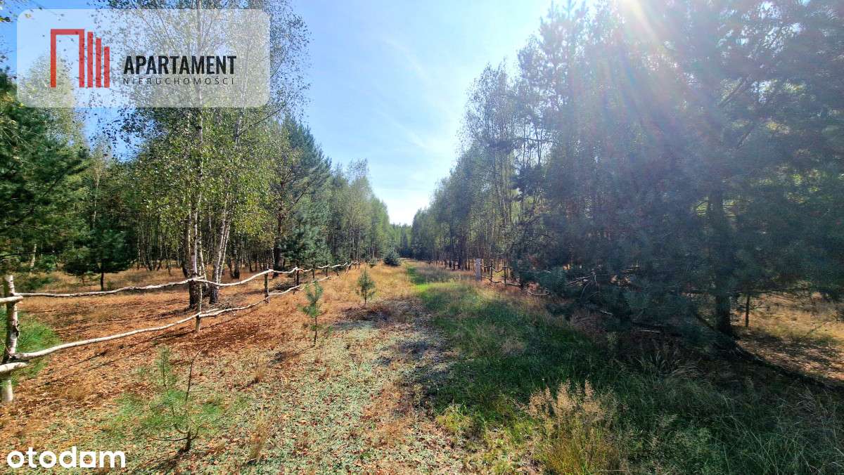 Tylko u Nas! Działki budowlane 15 minut od Gniezna - Pełny obrazek: 5/16