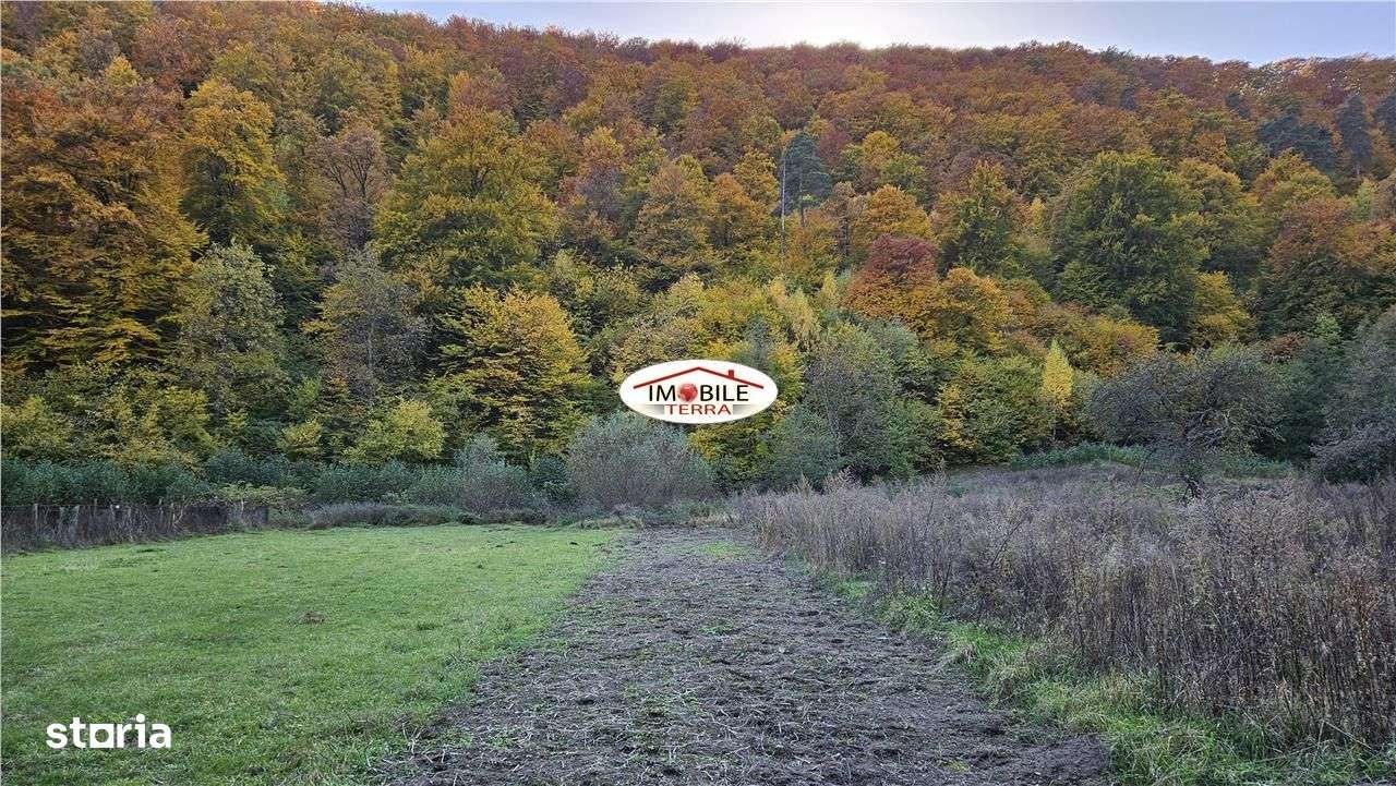 Gradina intravilan in Marginimea Sibiului sat Gales-2