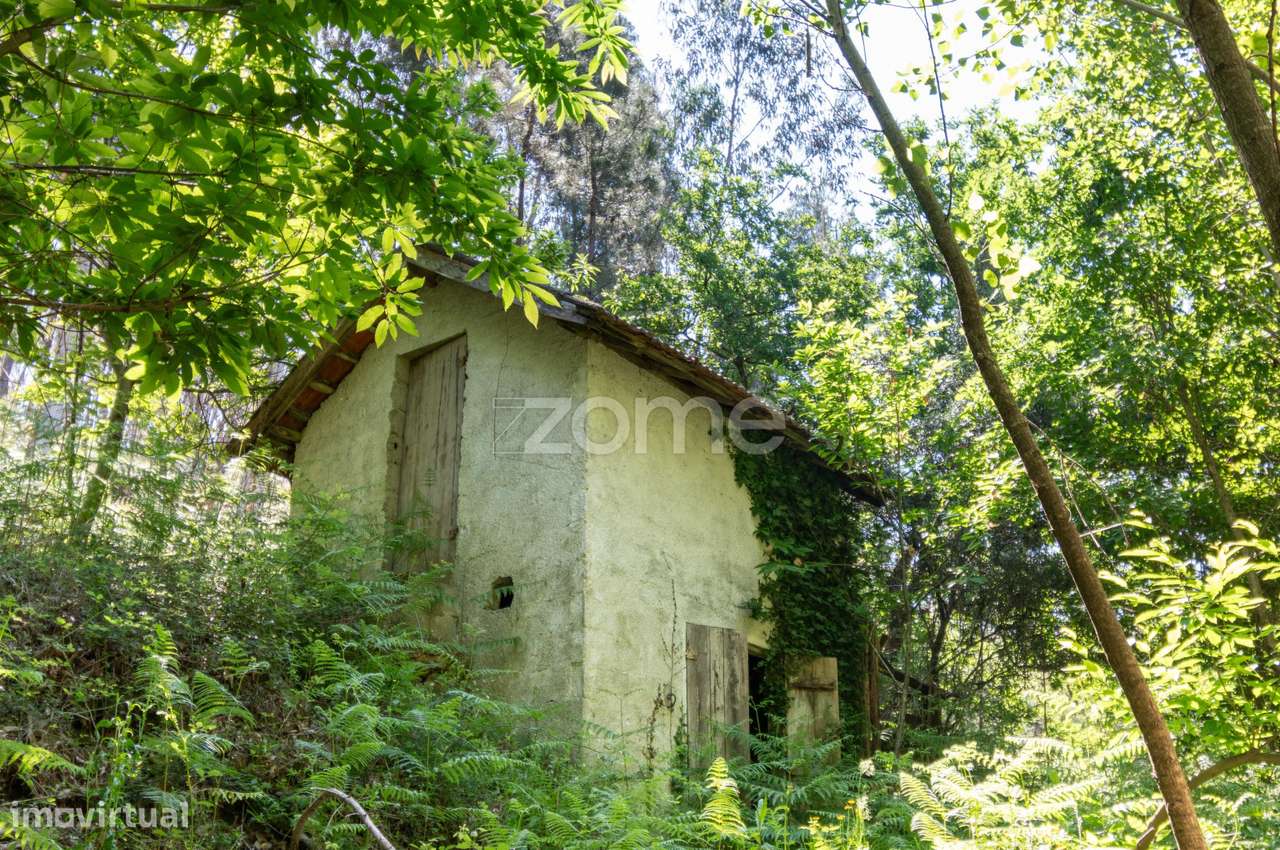 Terreno Rústico com Potencial Turístico - Grande imagem: 3/29