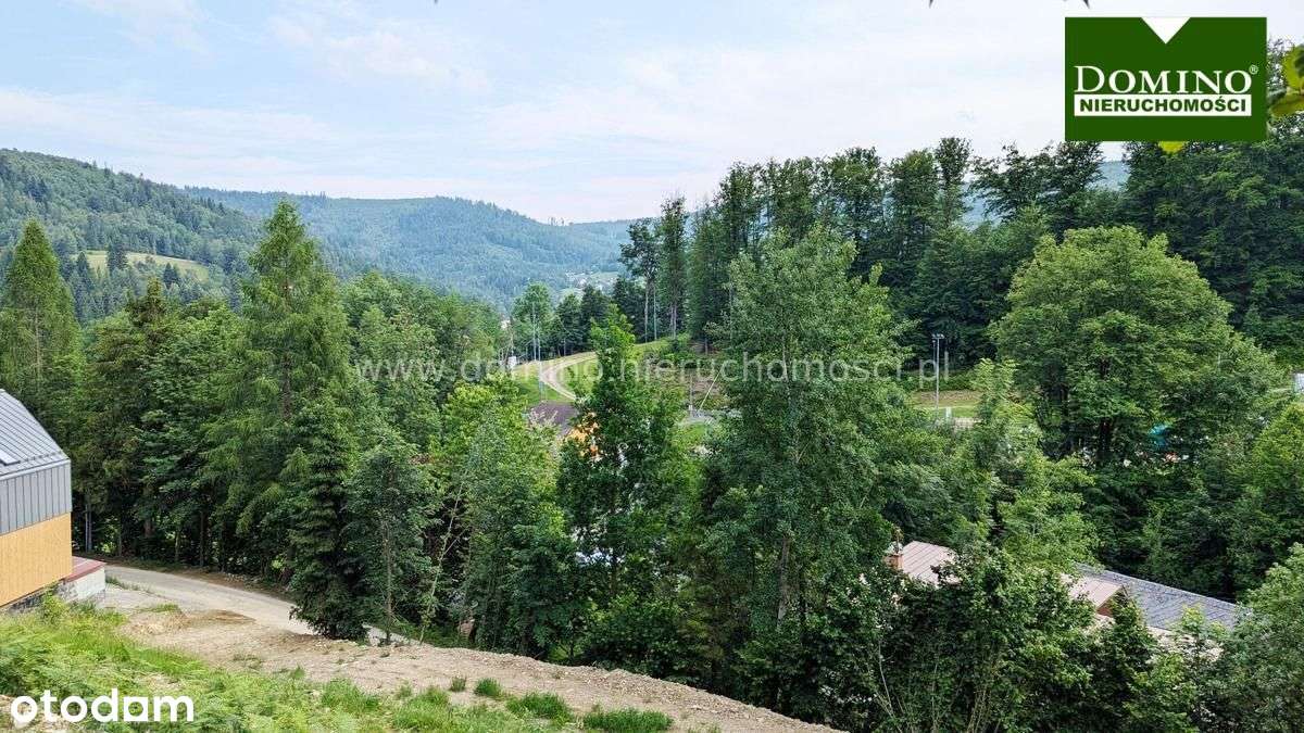 Wisła Działka - Pełny obrazek: 3/8