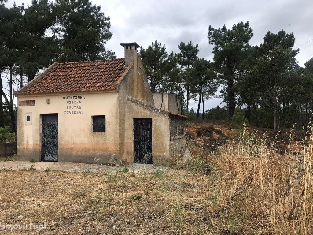 Quinta com casinha na Chancelaria, Torres Novas