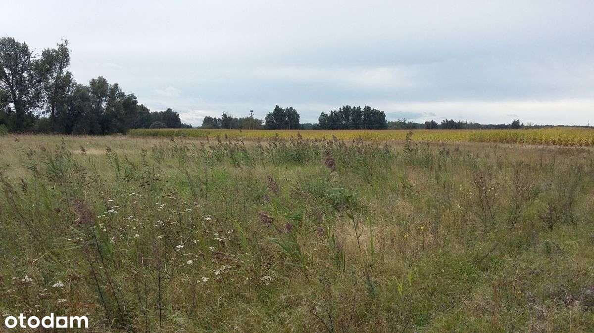 Działka budowlana w pobliżu jezior jezior-6