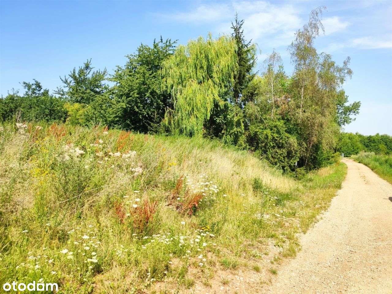 Działka budowlana - Pełny obrazek: 4/9