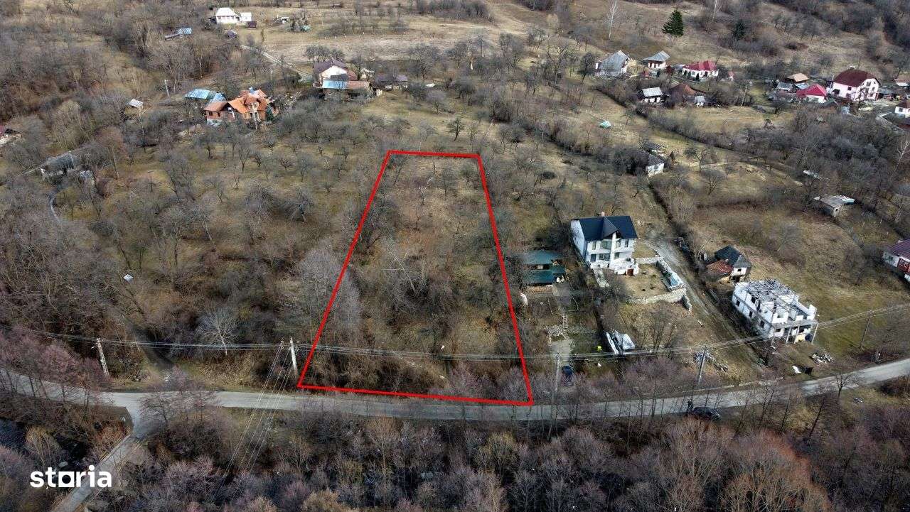 Teren de vânzare în Căpățâneni, Județ Argeș. - Imagine principală: 5/8