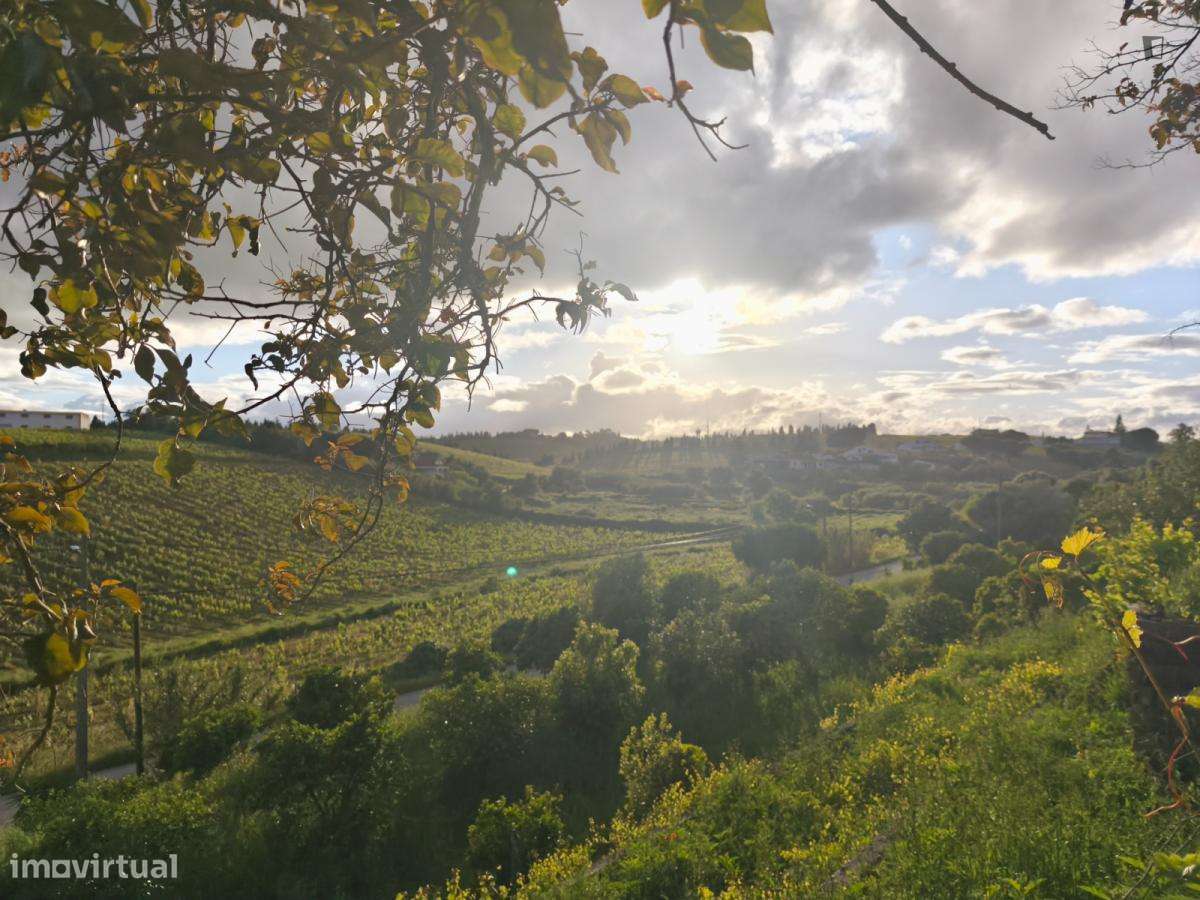 Casa com 2 quartos - localizado em Santarem - Grande imagem: 2/6