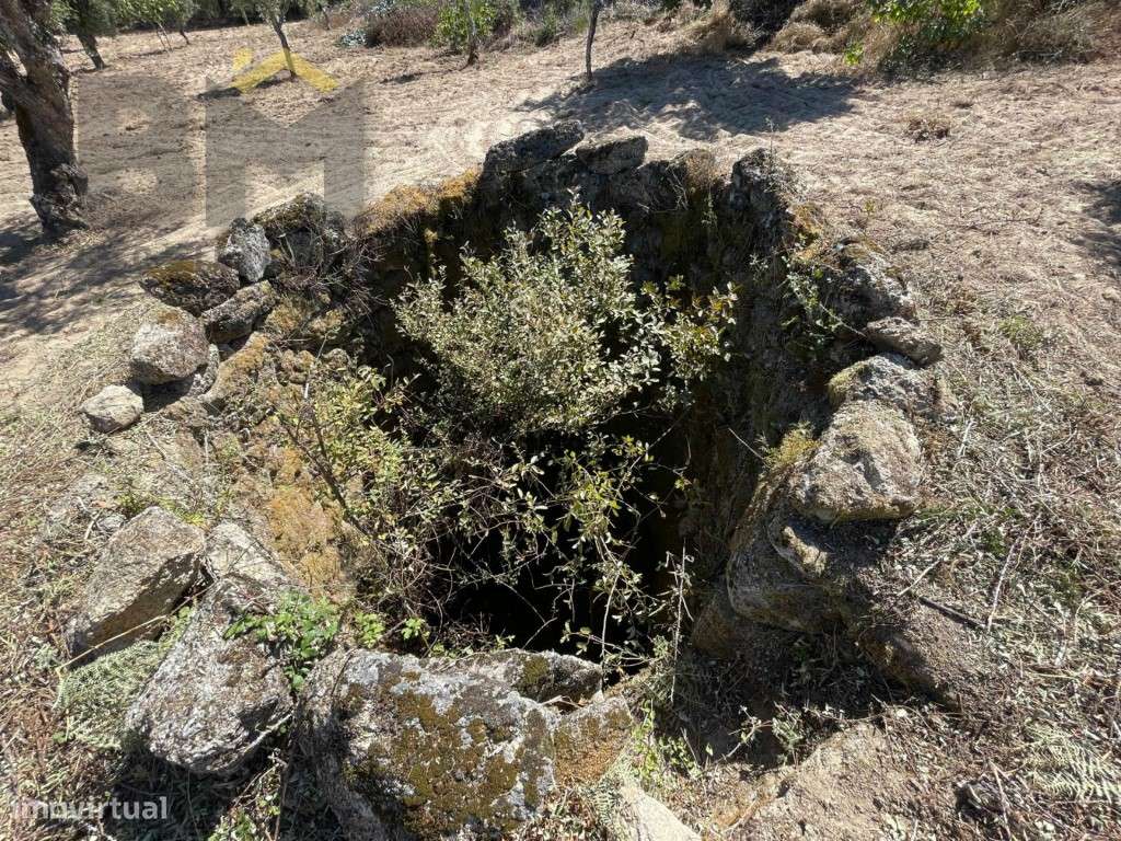 Quintinha de 4.920 m² à venda em Juncal do Campo! - Grande imagem: 3/14