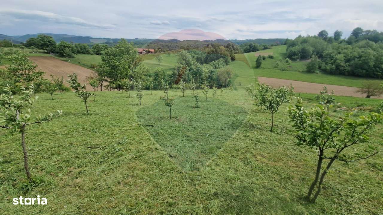 Teren 2,723mp Bratca / Drumul principala - Imagine principală: 3/3