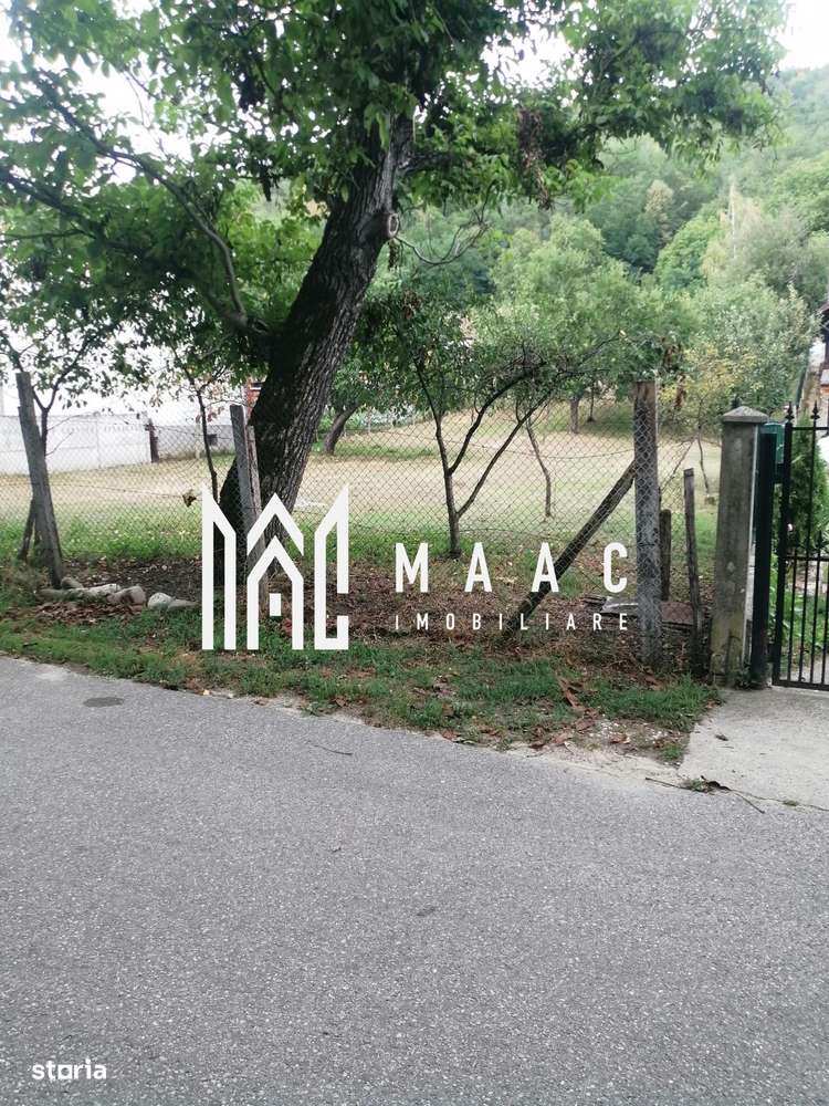 Teren Intravilan 10.000 mp | Livadă + Pădure de salcâm | Bărbătești-4