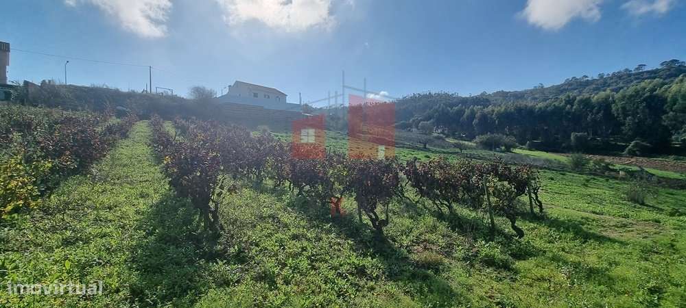 Terreno rústico com viabilidade de construção - Grande imagem: 4/4