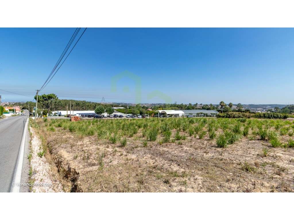 Terreno - Ericeira 4 km, A Casa das Casas - Grande imagem: 4/8