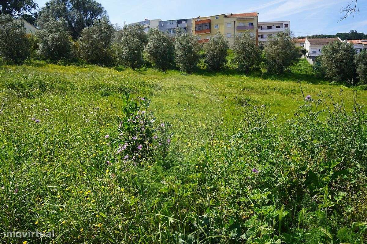 Terreno  para venda-10