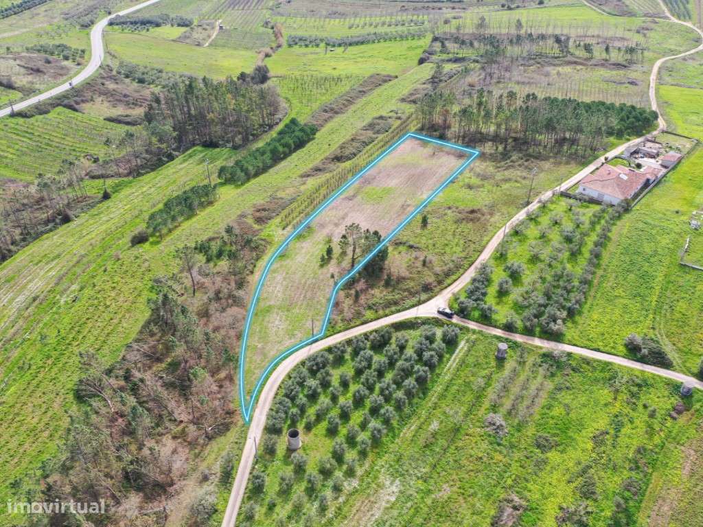 Terreno para construção em Montes, Alcobaça - Grande imagem: 4/4