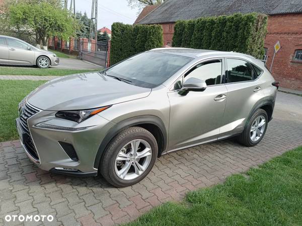 Lexus NX - 1