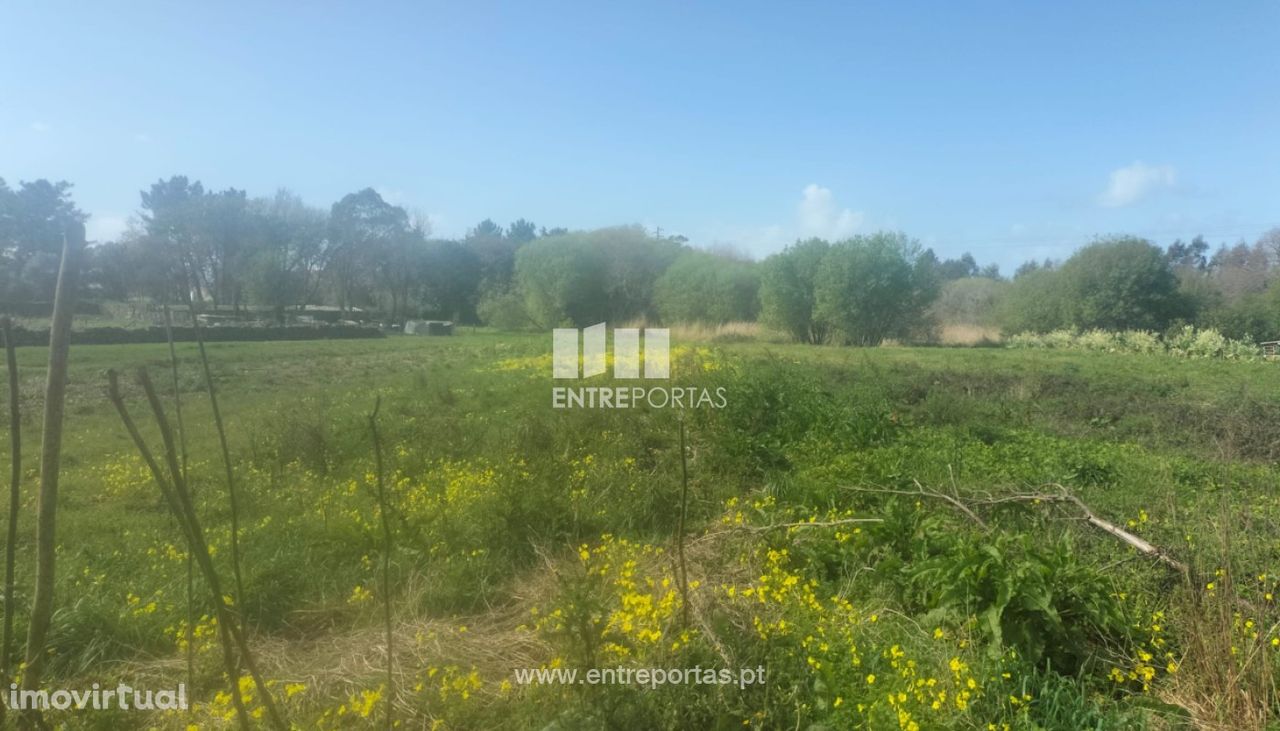 Terreno para venda, Âncora, Caminha