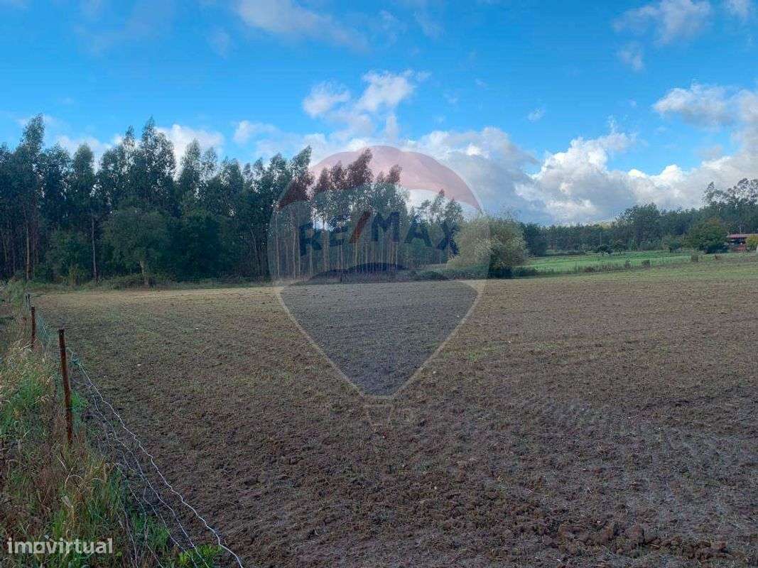 Terreno  para venda - Grande imagem: 4/13