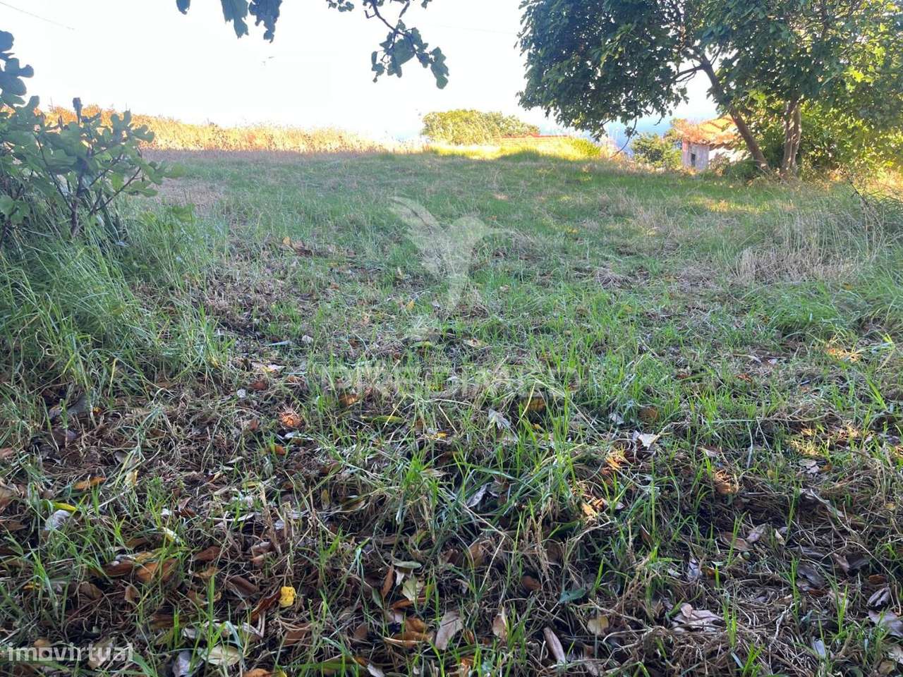 MORADIA E DOIS PALHEIRO AMBOS PARA RECUPERAR COM 1348M2 DE TERRENO... - Grande imagem: 5/13