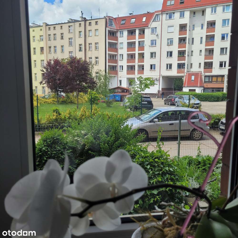 Mieszkanie 2 pokoje, rozkład, plomba, w ok. pl Bema-12