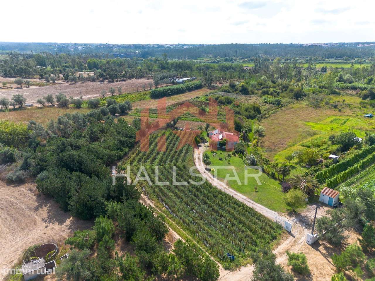 Terreno para construção / Área de 1848m² / Souto da Carpalhosa-12
