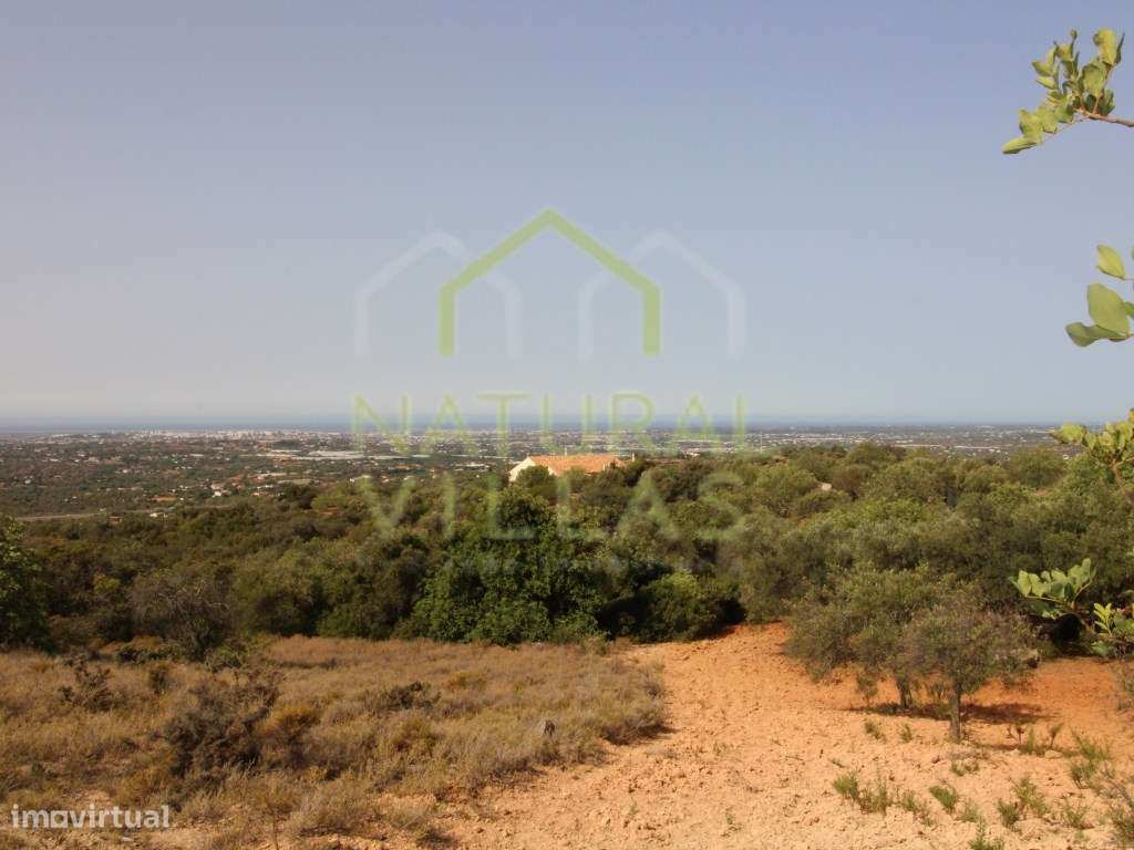 Terreno Rústico de 6960m2 e Vista Mar em Estoi - Grande imagem: 3/10