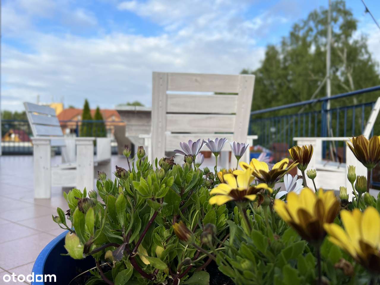 Dom Wczasowy nad Morzem SPRZEDAM-6