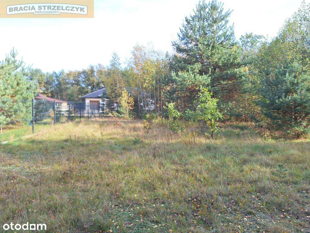 Stare Polesie działka budowlana 50 km od Warszawy. - Pełny obrazek: 4/9