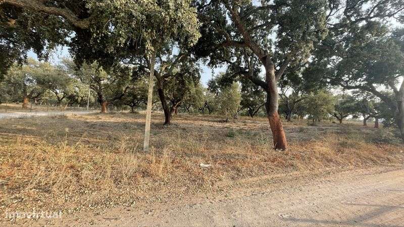 Quinta com 60000m2 - Grande imagem: 2/8