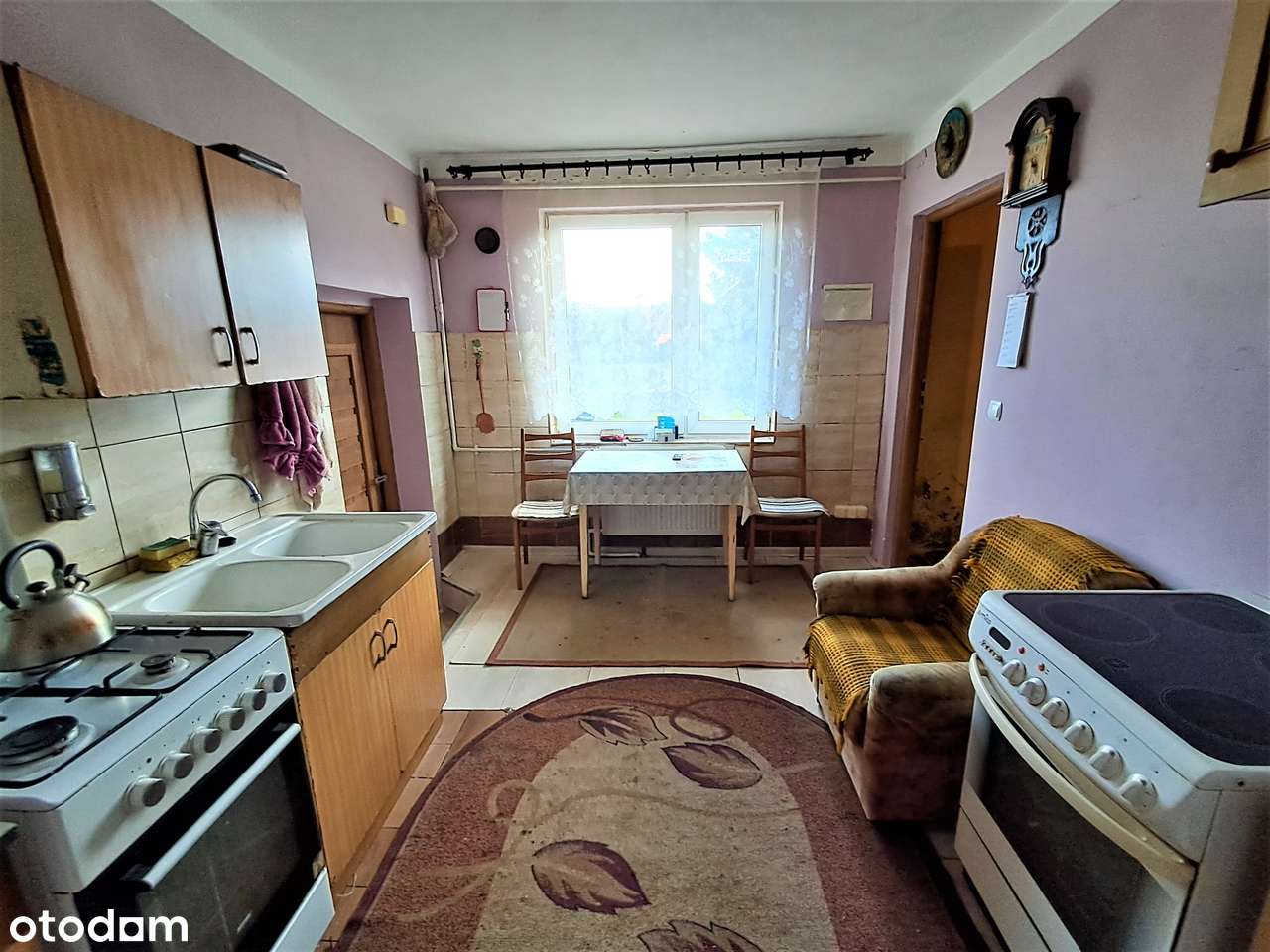 Na sprzedaż siedlisko w Renicach na dużej działce.-10