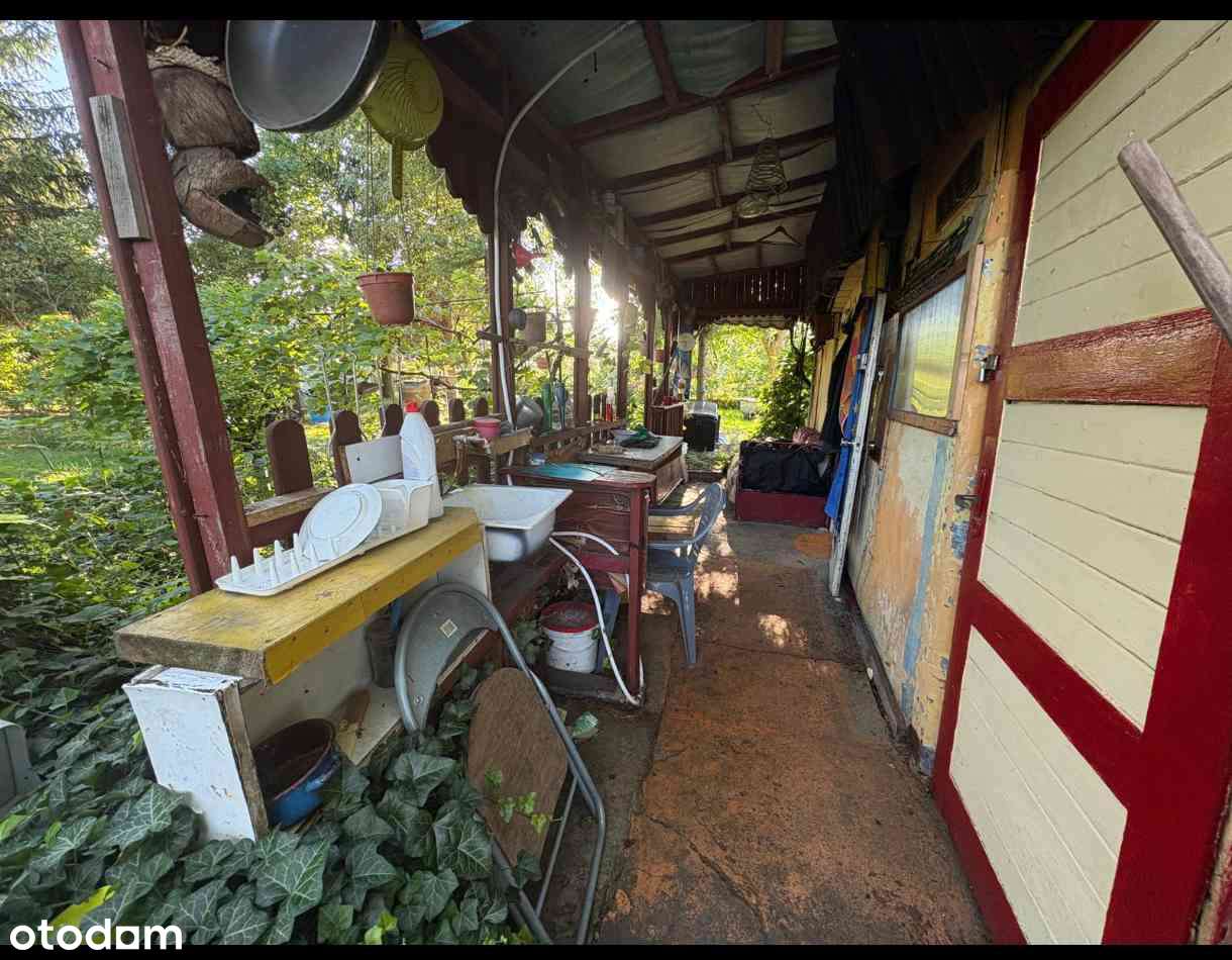 Działka ROD Kolejarz w Bydgoszczy! - Pełny obrazek: 4/8