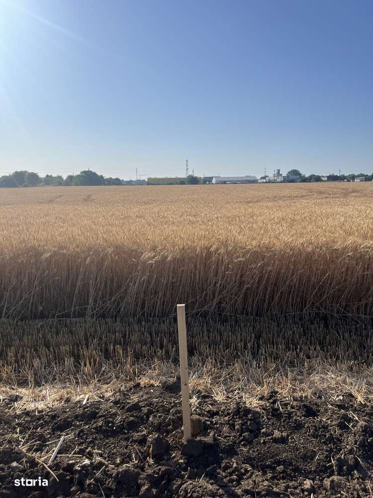 Teren Strada Tisei - Isaran Green ( Aurel Vlaicu ) - Imagine principală: 2/7