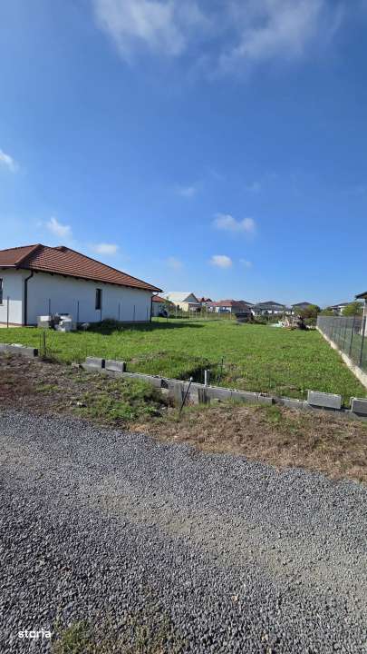 Teren intravilan in Martinesti - Imagine principală: 2/2