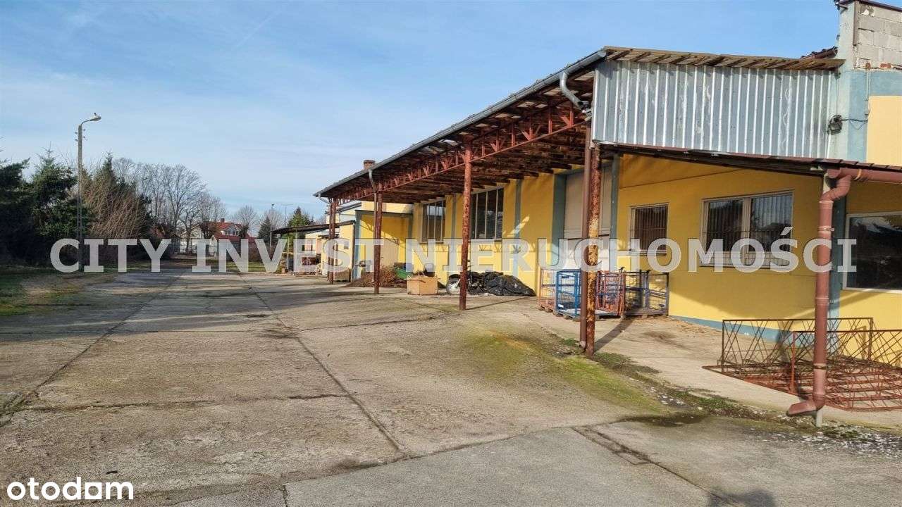 Hala/Magazyn, 4 750 m², Cybinka-5